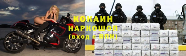 прущие грибы Михайловка