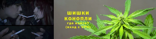 прущие грибы Михайловка