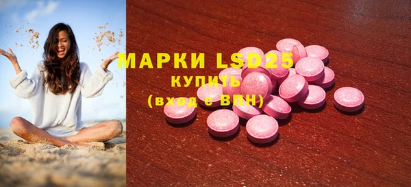 прущие грибы Михайловка