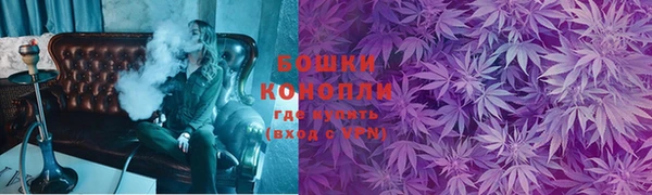 прущие грибы Михайловка