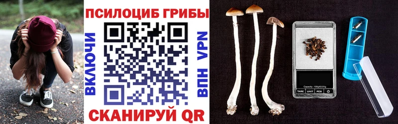 Псилоцибиновые грибы Magic Shrooms  как найти закладки  Златоуст 