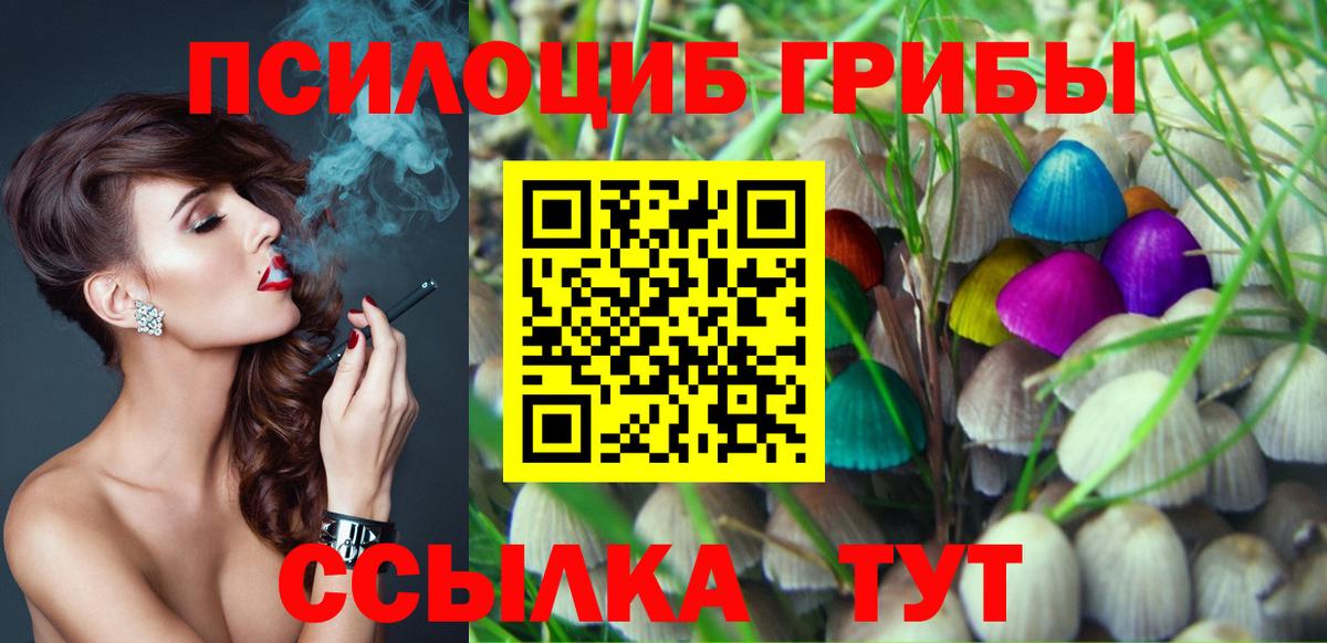 Златоуст  Псилоцибиновые грибы мицелий  Вход с VPN 